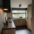 Delmonte Hout